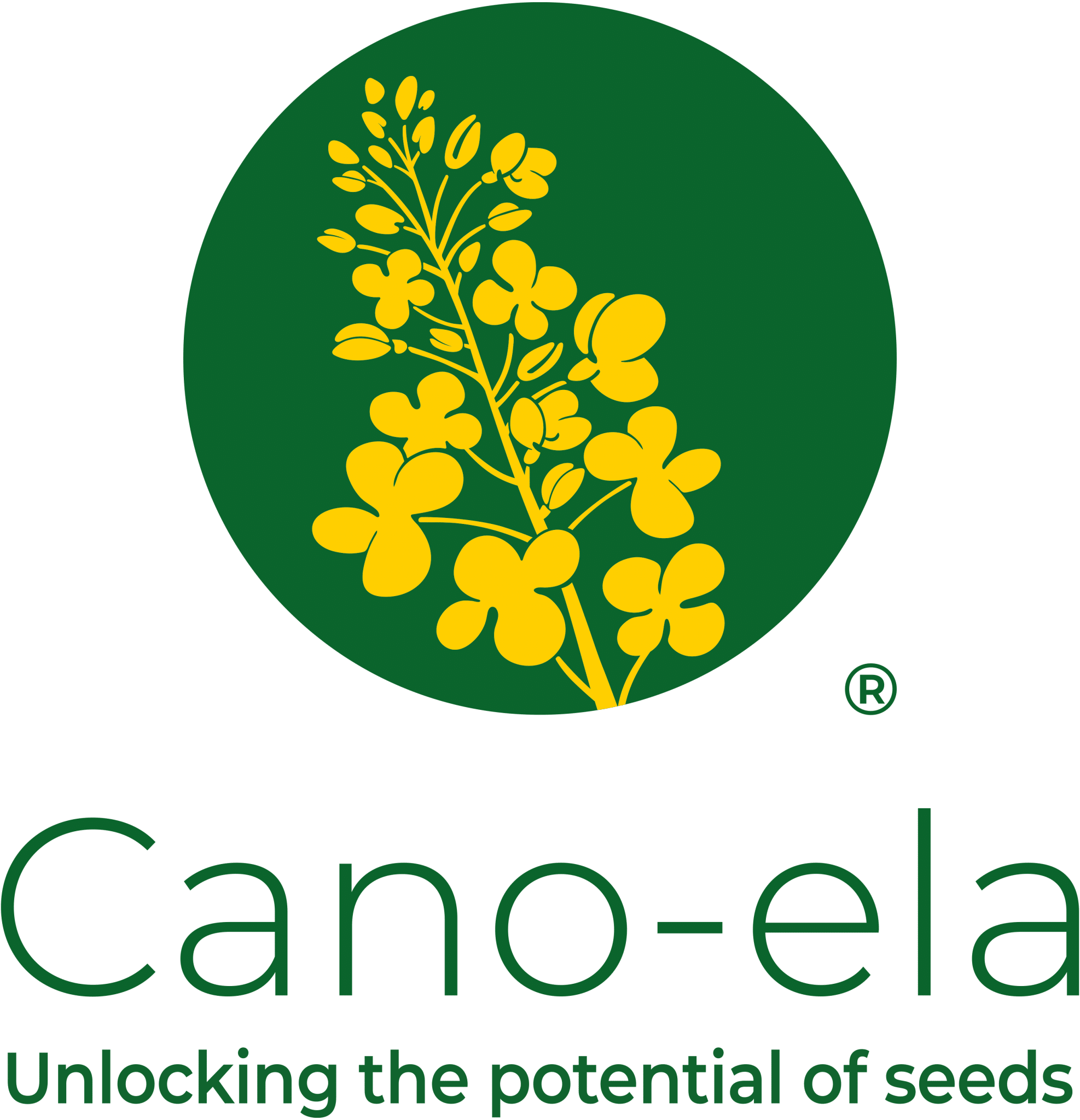 Cano-ela