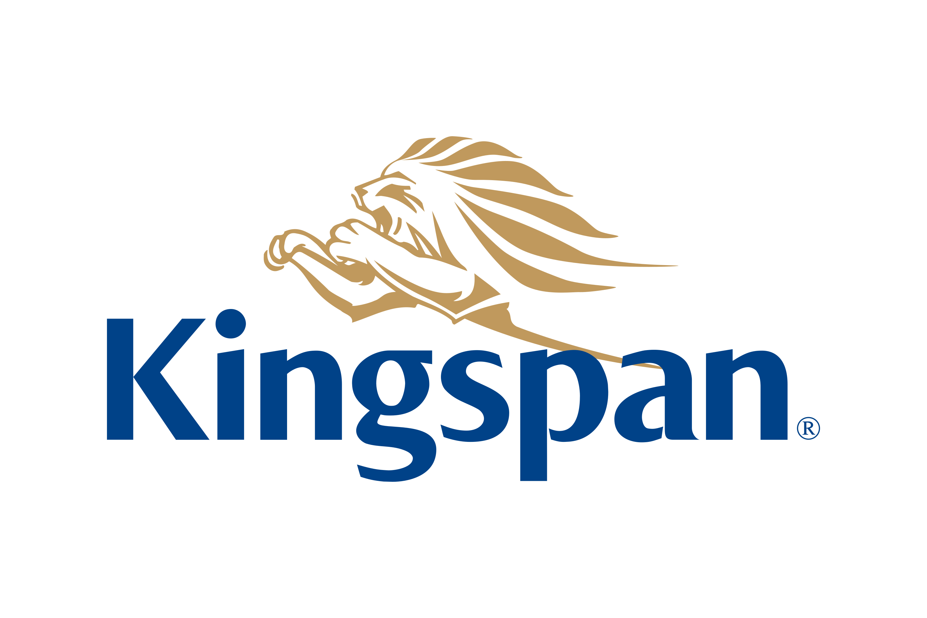 kingspan kingspan